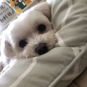 Meet your Posher, Ae